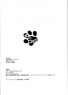 (C95) [Inu to Kotatsu (Nanase Mizuho)] Dappou hihiirokane (Granblue Fantasy) - page 22