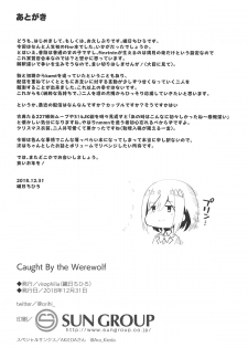 (C95) [virophilia (Orihi Chihiro)] Caught By the Werewolf (Tsukino Mito, Higuchi Kaede) - page 12