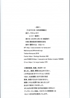 (C95) [Noraneko-no-Tama (Yukino Minato)] Tamaya Oodama Nijiiro Soushuuhen 3 (Various) - page 26