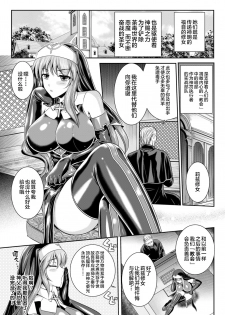 [Rindou, Kusunoki Rin] Nengoku no Liese Inzai no Shukumei ch.1-5 [Digital] [Chinese] [这很恶堕 x Lolipoi汉化组] - page 12
