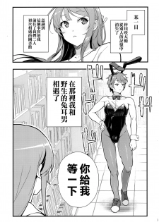 (C95) [Kayoudou (shouka)] Bunny Lovers (Seishun Buta Yarou wa Bunny Girl Senpai no Yume o Minai) [Chinese] [空気系☆漢化] - page 5