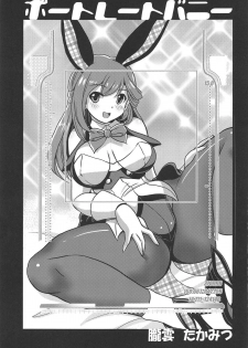 (C95) [Misuterutein (Oborogumo Takamitsu)] Portrait Bunny (Alice Gear Aegis) - page 2