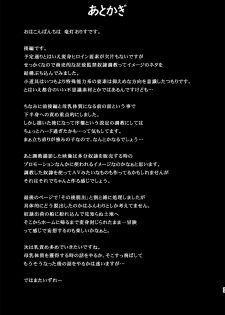 (C91) [FONETRASON (Ryutou)] Raygis Valicess Elsain Hajigyaku no Reigokutou Kouhen - page 32