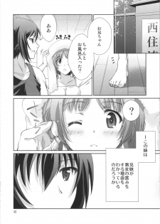 (C95) [Analog Store (Gomatamago)] Onii-chan to Issho desu! (Girls und Panzer) - page 21