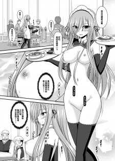 [valssu (Charu)] Melon ga Chou Shindou! R14 (Tales of the Abyss) [Chinese] [流星汉化] [Digital] - page 9