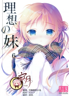 (C93)[INS-mode (Amanagi Seiji)] Risou no Imouto 6 [Chinese] [寂月汉化组] - page 1