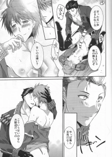 (C95) [Futagoyomi (Shirayuki Shion)] Hoshi ga yubu tobira no mukou (Fire Emblem Heroes) - page 14