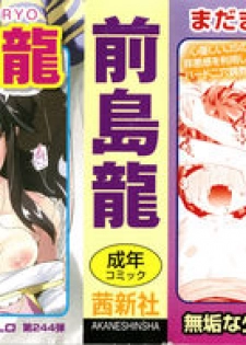 [Maeshima Ryou] Otona no Omocha no Tsukaikata - page 2
