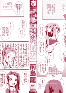 [Maeshima Ryou] Otona no Omocha no Tsukaikata - page 3