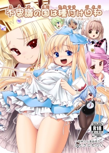[Yosutebito na Mangakaki (Tomoki Tomonori)] Fushigi no Kuni wa Tanetsuke Biyori (Alice in Wonderland) [Digital] [Chinese] [幻境灵歌个人汉化] - page 2