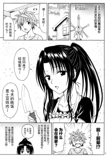 (COMIC1☆8) [Brain Dead (Eiji)] Kujou Senpai no Osasoi wa Kotowarenai! (To LOVE-Ru Darkness) [Chinese] [岚伤自费汉化] - page 2