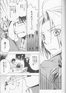 [milano (Shimotsuki Sakuya)] Beauty and The beast -mirror in world- (Fullmetal Alchemist) - page 15