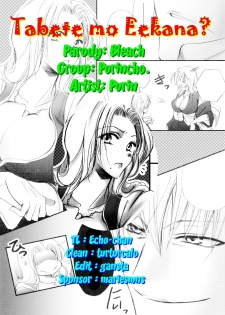 (C81) [Purincho. (Purin)] Tabete mo Eekana? | Can I eat you~? (Bleach) [English] [Echo-chan] - page 23