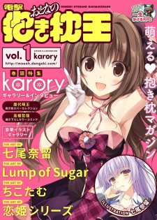電撃おとなの抱き枕王 Vol.01 - page 1