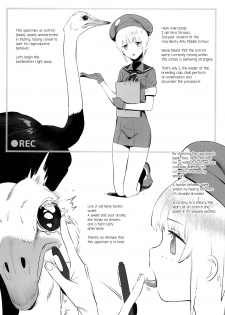 (SC2018 Autumn) [zero-sen (xxzero)] Tori no Kimochi Ii [English] [FishnChips] - page 3