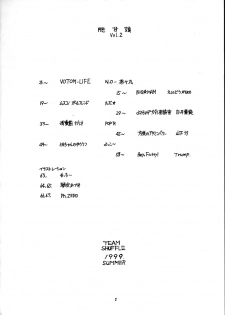 (SC4) [Team Shuffle (Various)] Hikan Musume 2 - page 4
