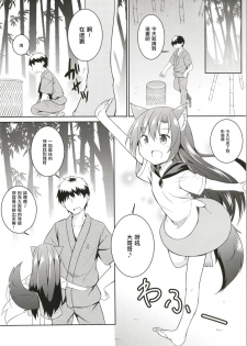 (Reitaisai 15) [Tonzura Douchuu (Kazawa)] Saimin Ookami (Touhou Project)[Chinese] [萌魂正義漢化] - page 4
