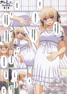 (C79) [Shiawase Kyouwakoku (Shiawase no Katachi)] Katashibu Full Color 35-shuu [chinese] [璃頭個人翻譯] - page 4