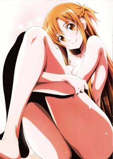 (C95) [Kossorikakuredokoro (Island)] Sword Art Lilycization. (Sword Art Online) [Chinese] [靴下汉化组] - page 13