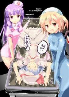 [Cheeseyeast (Naka)] Vacuum Ward -Vacuum Operation- (Touhou Project) [English] [TreePerception] [Digital] - page 3