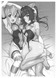 (C95) [Inai Uchi ni (Inai)] Zababa no (Senki Zesshou Symphogear) - page 2