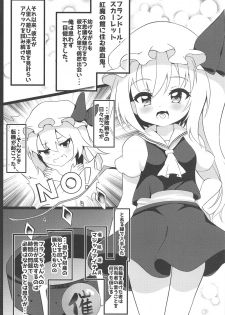 (C95) [Saigo made Anko Tappuri (Akiba Monaka)] Kawaii Kyuuketsuki no Tenazukekata (Touhou Project) - page 3