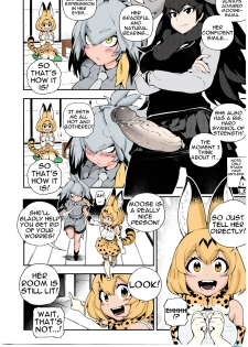 (FF30) [Bear Hand (Fishine, Ireading)] BEAST FRIENDS (Kemono Friends) [English][Colorized][Erocolor] - page 4