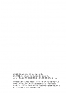 (C95) [Katuraya (Takemaru)] Adokenai Yoru no Futarigoto (Shuumatsu no Izetta) - page 3