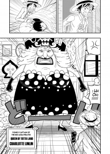 [Tiger-Ki] Charlotte Flampe x Luffy (One Piece) - page 14