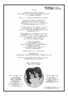 (C71) [Kokkei-Nagaya (Katou Tetsuya)] Hime Awabi Hime Matsutake Sono 2 & 2.5 - page 13