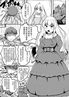 (C95) [Shiroi Shinoshino (Shinoda Kazuhiro)] Ikeru Kaiga ni sareta Ohime-sama no Naedoko Kitan [Chinese] [可乐不咕鸟联合汉化] - page 5