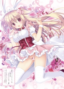 Dengeki Moeoh 2019-06 [Digital] - page 48
