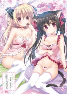 Dengeki Moeoh 2019-06 [Digital] - page 44