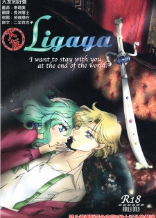 (C94) [Shibuya BRAND (Shiratori Kamui)] Ligaya - I want to stay with you at the end of the world. (Bishoujo Senshi Sailor Moon) [Chinese] [大友同好会] - page 1