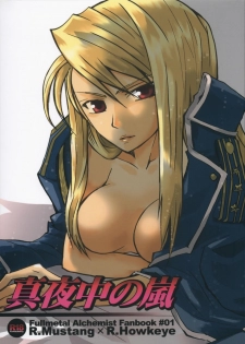 (SC25) [Ao Hana (Aoi Remi)] Mayonaka no Arashi (Fullmetal Alchemist) - page 1