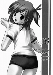 (C65) [Ugeman (Ugeppa, Aiyama Toshikazu, RT.)] Nerima (Fullmetal Alchemist) - page 29