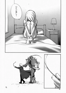 (C65) [Ugeman (Ugeppa, Aiyama Toshikazu, RT.)] Nerima (Fullmetal Alchemist) - page 17