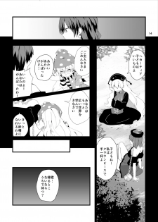 [Tetsu no Otoshigo (Chirorian)] Akai Hon. (Touhou Project) [Digital] - page 14