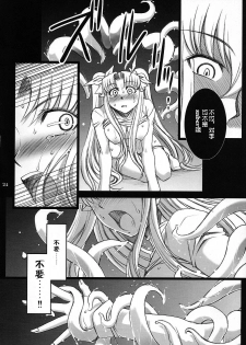 (C75) [H.B (B-RIVER)] Red Degeneration -DAY/4- (Fate/stay night) [Chinese] [不咕鸟汉化组] - page 23