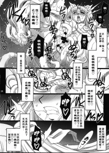 (C75) [H.B (B-RIVER)] Red Degeneration -DAY/4- (Fate/stay night) [Chinese] [不咕鸟汉化组] - page 27