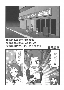 (COMIC1☆15) [Studio 49ers (Takazawa Mugumu)] Shimai-tachi ga Mitsuketa Mizu ga Tada no Mizu ja Nakatta Sei de Taihen na Koto ni Natte Shimau Hon (Kemurikusa) - page 2