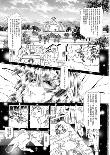 (C77) [Kaki no Boo (Kakinomoto Utamaro)] RANDOM NUDE Vol.5 92 〔STELLAR LOUSSIER〕 (Gundam Seed Destiny)【chinese】 - page 4