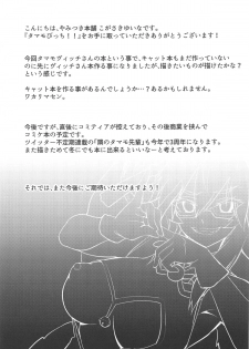 (COMIC1☆15) [Yamitsuki Honpo (Wise Speak)] Tamamo Bitch!!! (Fate/Grand Order) - page 18