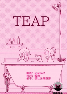 (Houraigekisen! Yo-i! 43Senme) [Kari Nokoshi (Tuta no Ha)] Teap (Princess Principal) [Chinese] [猫在汉化] - page 1