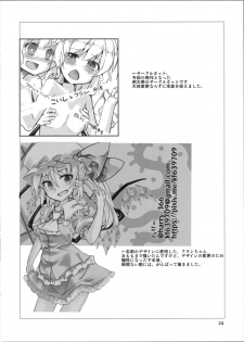 (Reitaisai 14) [Namayake. (Harry)] FlaKoi Panpanbon (Touhou Project) [Chinese] [芙想恋翩个人汉化] - page 24