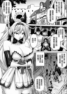 (C91) [Nounai Ekijiru (Somejima)] Royal Slave (Granblue Fantasy) [Chinese] [ssps008汉化] - page 3