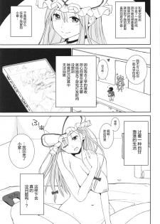 (C95) [Studio P.M.Y (Mikarin)] Yukari-san no Jidaraku na Seikatsu (Touhou Project) [Chinese] [背景×新桥月白日语社] - page 4