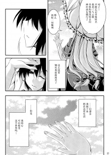 (C80) [Desuno!! (Fuyuwa Kotatsu)] Welcome to Wonder World (Touhou Project) [Chinese] [背景×新桥月白日语社] - page 17