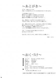 (C80) [Desuno!! (Fuyuwa Kotatsu)] Welcome to Wonder World (Touhou Project) [Chinese] [背景×新桥月白日语社] - page 18