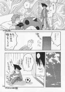 (HaruCC6) [Haniwa Mania, Kuru Guru DNA (Pon Takahanada, Hoshiai Hiro)] Jogress Daihyakka (Digimon Adventure 02) - page 25